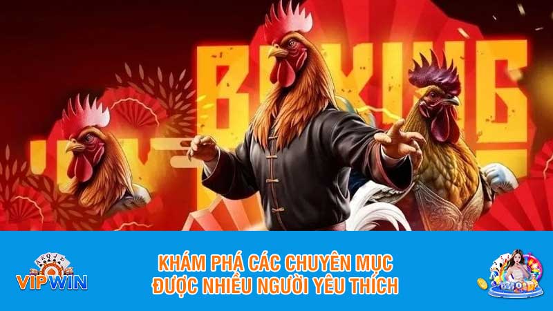 Khám phá các chuyên mục được nhiều người yêu thích