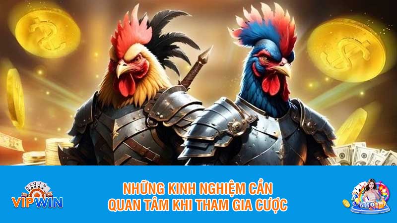 Những kinh nghiệm cần quan tâm khi tham gia cược