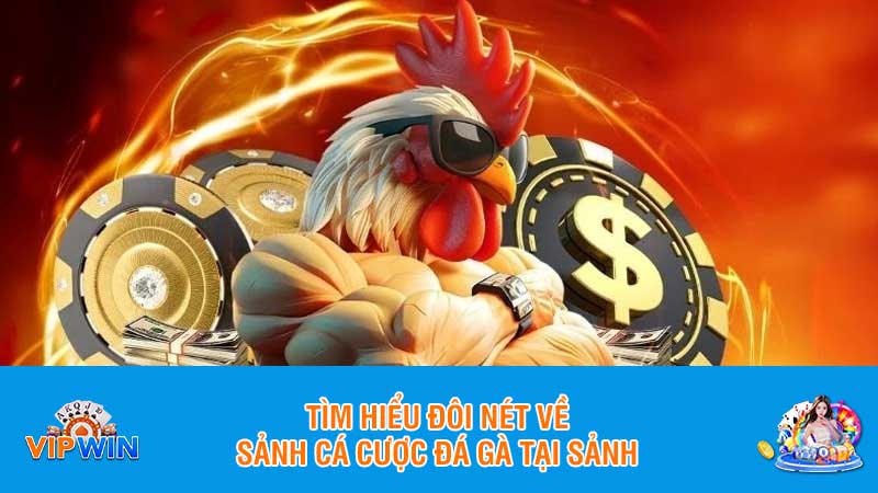 Tìm hiểu đôi nét về sảnh cá cược đá gà tại sảnh