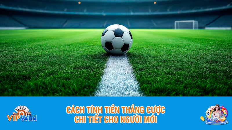Cách tính tiền thắng cược chi tiết cho người mới