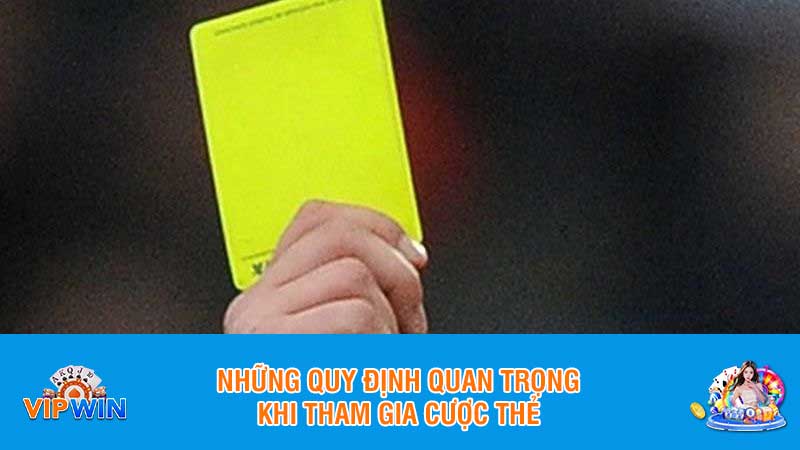 Những quy định quan trọng khi tham gia cược thẻ