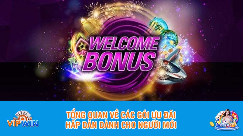 Tổng quan về các gói ưu đãi hấp dẫn dành cho người mới
