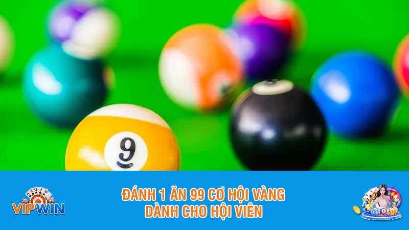 Đánh 1 ăn 99 cơ hội vàng dành cho hội viên